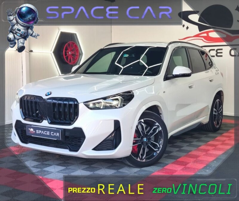BMW X1            (U11)